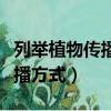 列舉植物傳播種子方法（舉例植物種子四種傳播方式）