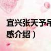 宜興張天予吊災志感（關于宜興張天予吊災志感介紹）