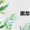 崩龍村（關于崩龍村簡介）