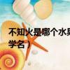 不知火是哪個水果的學名（不知火是我們常吃的哪種水果的學名）