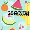 29朵玫瑰代表什么（適合什么場合送）