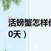 活螃蟹怎樣儲存十天不死（活螃蟹怎么保存10天）
