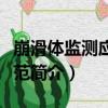 崩滑體監測應用示范（關于崩滑體監測應用示范簡介）