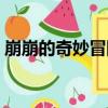 崩崩的奇妙冒險（關于崩崩的奇妙冒險簡介）