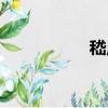 嵇莊（關于嵇莊簡介）