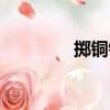 擲銅錢（關于擲銅錢簡介）