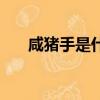 咸豬手是什么意思（咸豬手意思簡述）