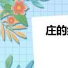 莊的組詞（莊讀音及解釋）