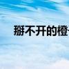 掰不開的橙子（關于掰不開的橙子簡介）