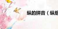 縱的拼音(縱組詞)