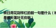 映日荷花別樣紅的前一句是什么(映日荷花別樣紅的前一句是接天蓮葉無窮碧)