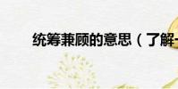 統籌兼顧的意思(了解一下其含義)