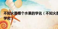 不知火是哪個水果的學名(不知火是我們常吃的哪種水果的學名)