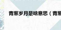 青蔥歲月是啥意思(青蔥歲月的意思)