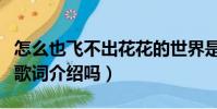 怎么也飛不出花花的世界是什么歌(有詳細的歌詞介紹嗎)