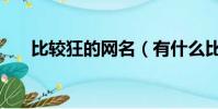 比較狂的網名(有什么比較狂的網名)