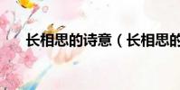 長相思的詩意(長相思的詩意是什么)