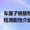 車厘子核酸檢測陽性是什么意思（車厘子核酸檢測陽性介紹）
