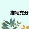 描寫充分性（關于描寫充分性簡介）