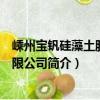 嵊州寶釩硅藻土股份有限公司（關于嵊州寶釩硅藻土股份有限公司簡介）