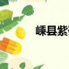 嵊縣紫砂（關于嵊縣紫砂簡介）