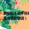 假如我不放手你多年以后什么歌（假如我不放手你多年以后是哪首歌歌詞）