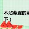 不沾葷腥的葷是什么意思（不沾葷腥的解釋如下）