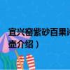宜興窯紫砂百果詩句硯滴壺（關于宜興窯紫砂百果詩句硯滴壺介紹）