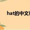 hat的中文意思是什么（是怎么解釋的）