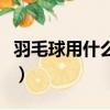 羽毛球用什么動物的羽毛（制作羽毛球的材料）