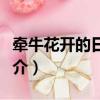 牽牛花開的日子劇情（牽牛花開的日子劇情簡介）
