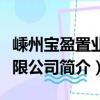嵊州寶盈置業有限公司（關于嵊州寶盈置業有限公司簡介）