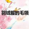 羽絨服的毛領怎么洗（希望可以幫助到大家）