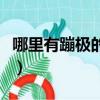 哪里有蹦極的旅游景點（蹦極的旅游景點推薦）