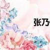 張乃傳（關于張乃傳介紹）
