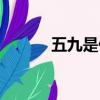五九是什么日子（五九的簡介）