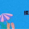 揉革（關于揉革簡介）