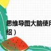 思維導圖大腦使用說明書（關于思維導圖大腦使用說明書介紹）