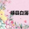 嵊縣白蒲棗（關于嵊縣白蒲棗簡介）