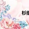 杉組詞（杉組詞有哪些）