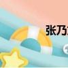 張乃文（關于張乃文介紹）