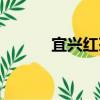 宜興紅茶（關于宜興紅茶介紹）