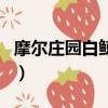 摩爾莊園白鯨在哪釣（摩爾莊園白鯨釣法介紹）