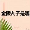 金陵丸子是哪里的菜（金陵丸子屬于什么菜）