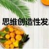 思維創造性發展（關于思維創造性發展介紹）