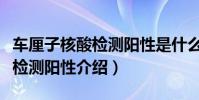 車厘子核酸檢測陽性是什么意思(車厘子核酸檢測陽性介紹)