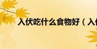 入伏吃什么食物好(入伏吃的食物)