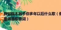 假如我不放手你多年以后什么歌(假如我不放手你多年以后是哪首歌歌詞)