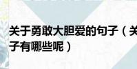 關于勇敢大膽愛的句子(關于勇敢大膽愛的句子有哪些呢)