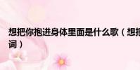 想把你抱進身體里面是什么歌(想把你抱進身體里面完整歌詞)